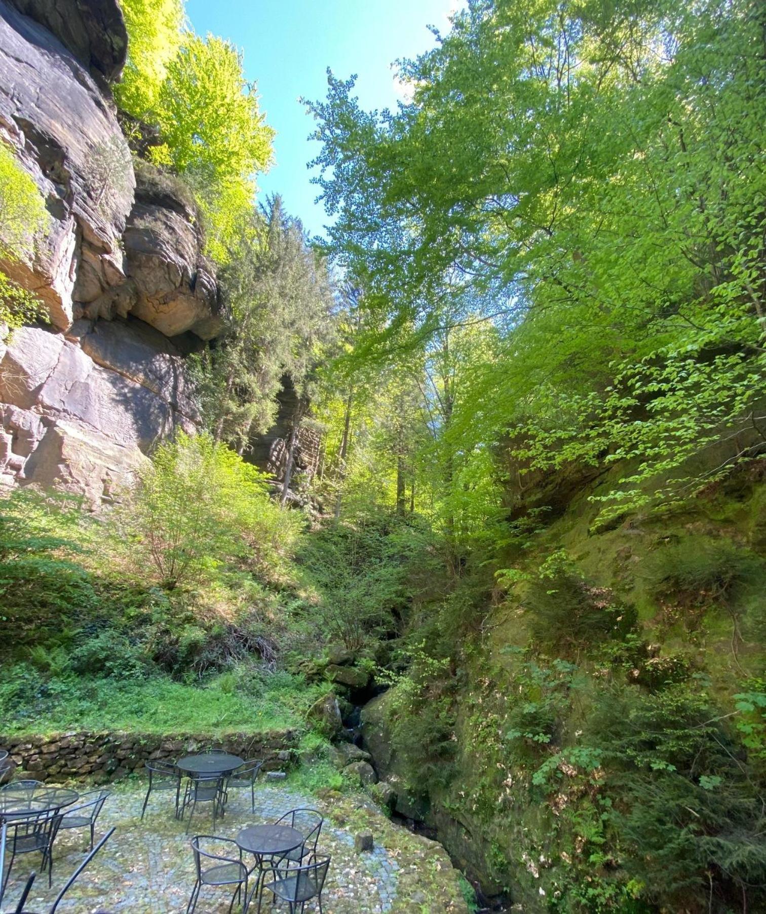 Stara Plynarna Otel Hřensko Dış mekan fotoğraf